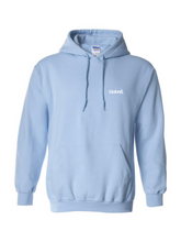 Load image into Gallery viewer, Protect Your Peace Of Mind Hoodie | Baby Blue
